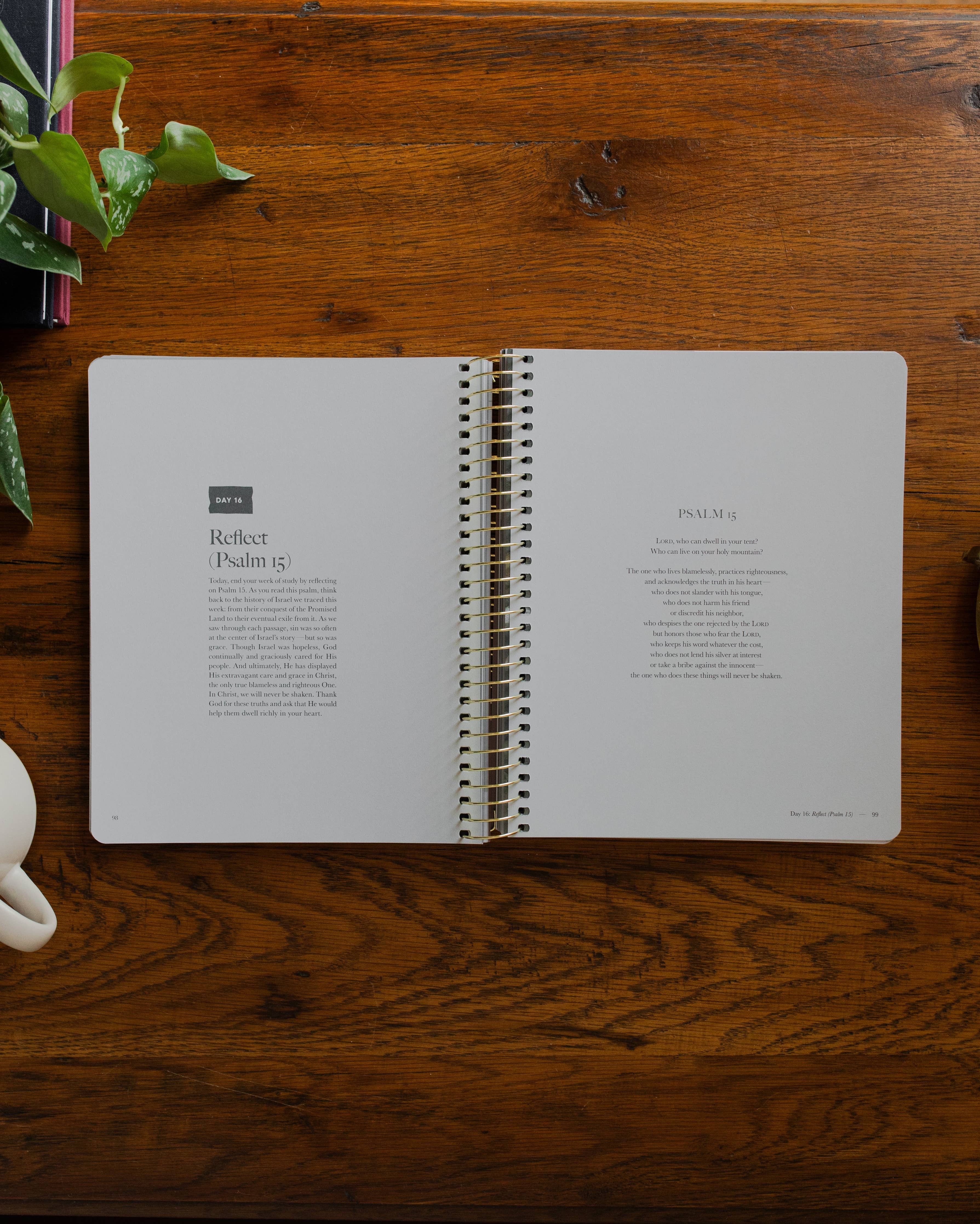 Clinging to the Cross | Lent Bible Study - MADE BY YEN