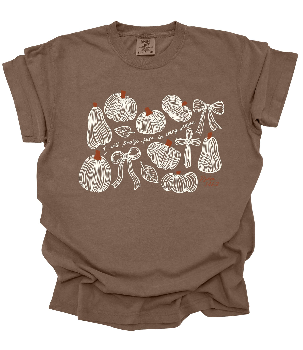Espresso Christian fall T-shirt featuring hand-drawn pumpkins, bows, leaves and a cross with the words I Will Praise Him in Every Season inspired by Psalm 146:2.