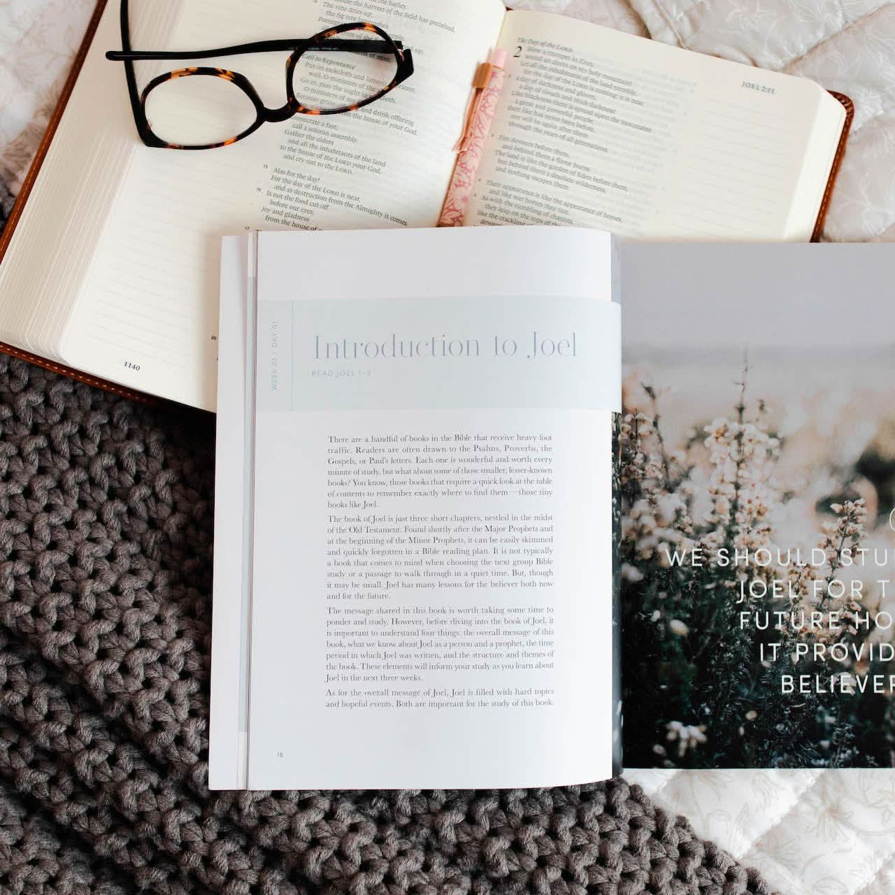 Restored | A Study on the Book of Joel - MADE BY YEN
