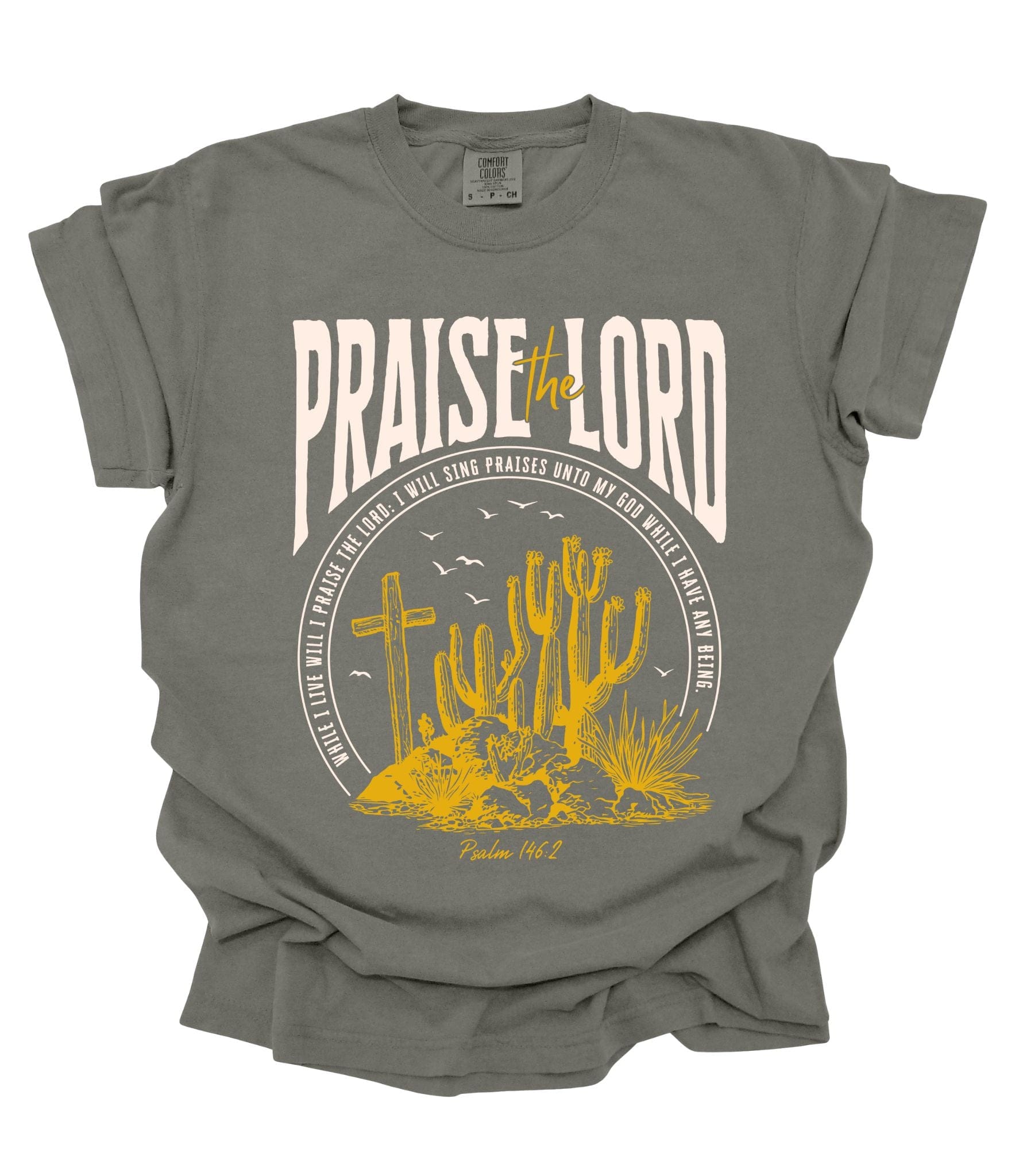 Gray t-shirt with 'Praise the Lord' graphic design featuring a cross and cactus on a white background.