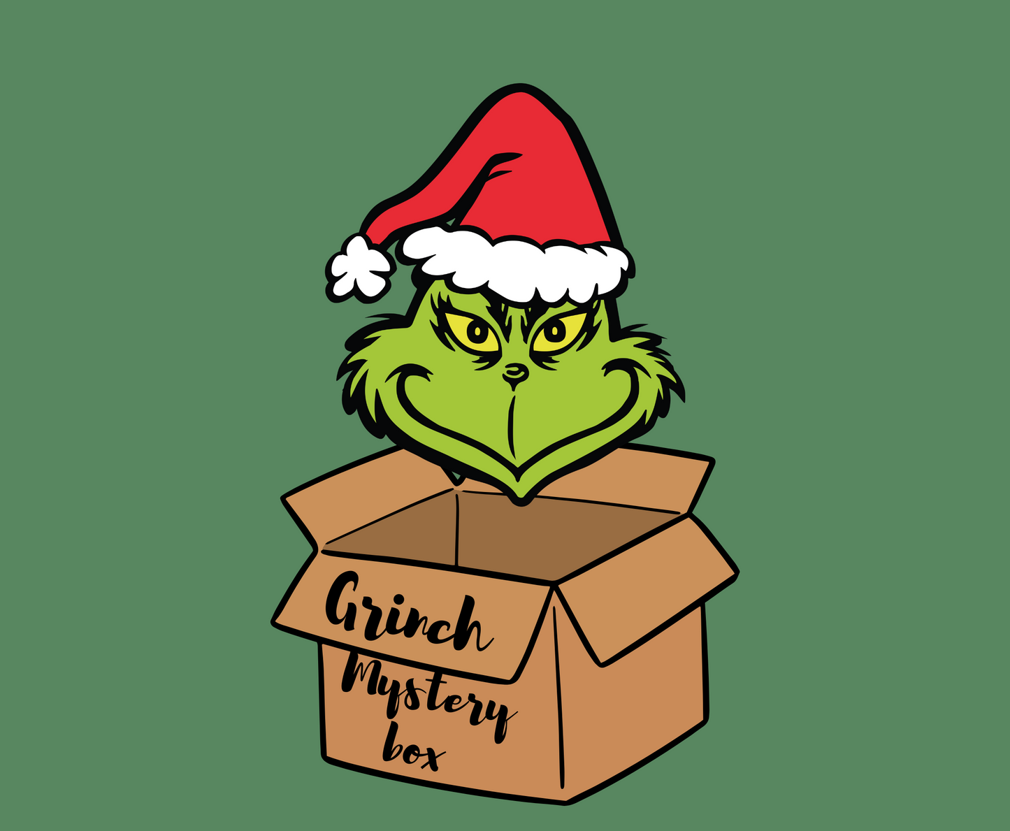 Grinch Mystery Box - MADE BY YEN