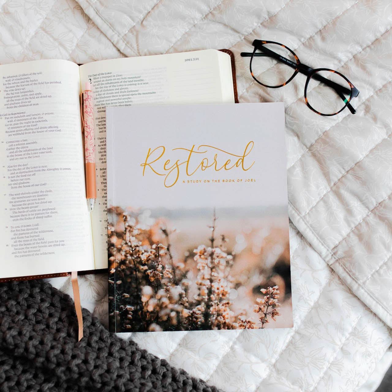 Restored | A Study on the Book of Joel - MADE BY YEN